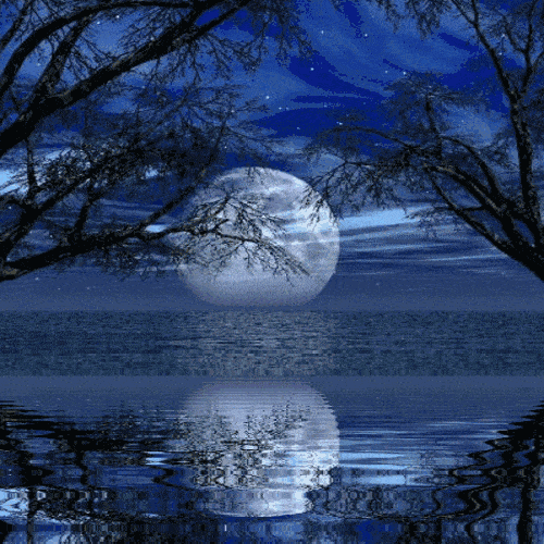 《春江花月夜》唐 · 张若虚