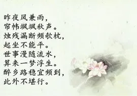 《乌夜啼·昨夜风兼雨》南唐 · 李煜