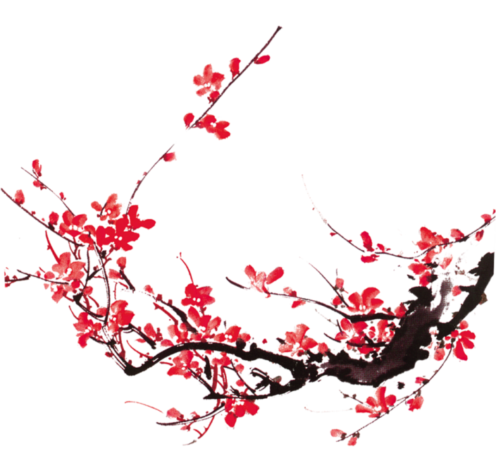 南枝已谢