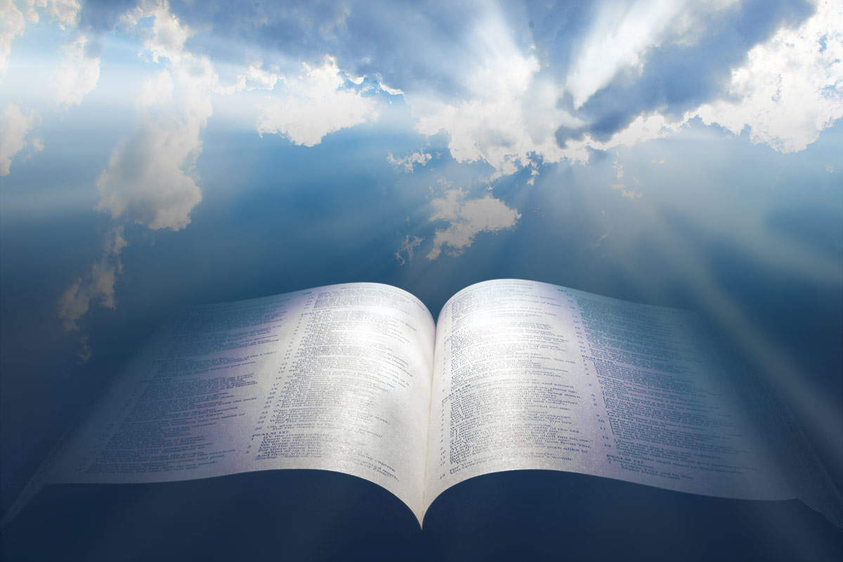 约翰福/音逐章电影｜21章 视频合集