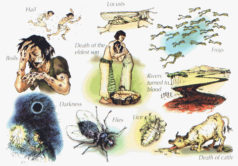 十灾系列｜1-20讲 音频汇总