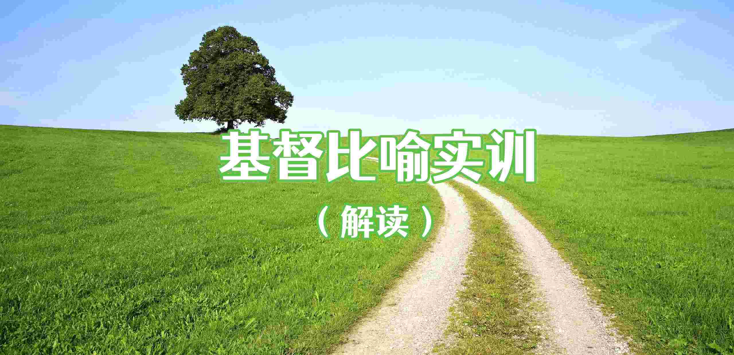 基/督比喻实训｜1-29讲 音频汇总