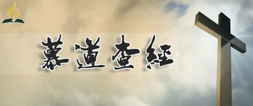 焦洪志慕道班查经课｜1-30课 视频汇总