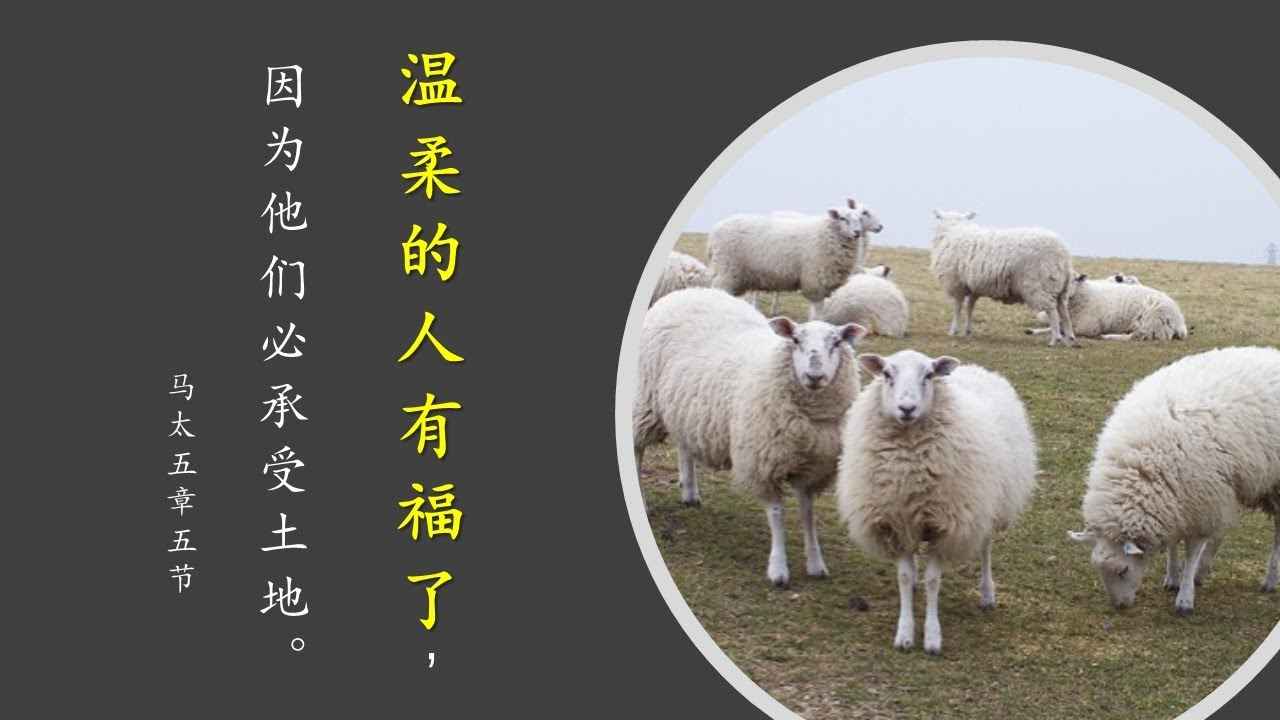 2025春季学习班｜第6讲 温柔之福