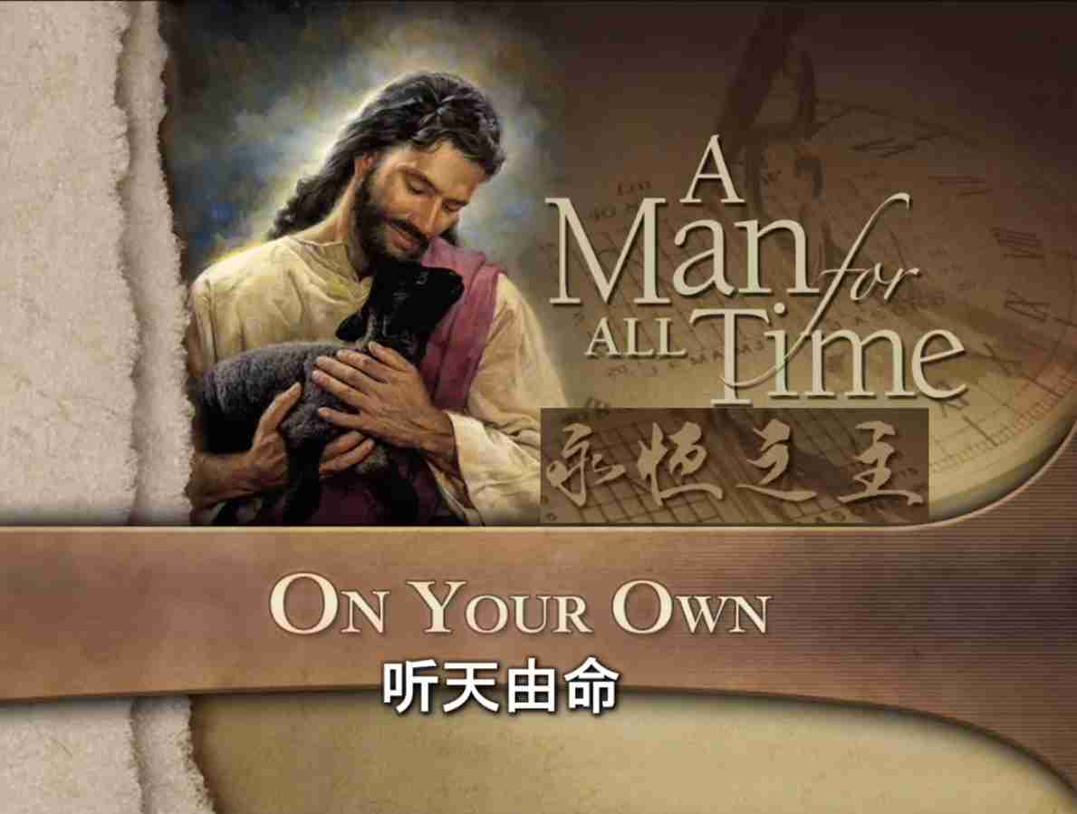 马可芬尼8天直/播回放｜第1讲 听天由命？（音频为纯中文版）