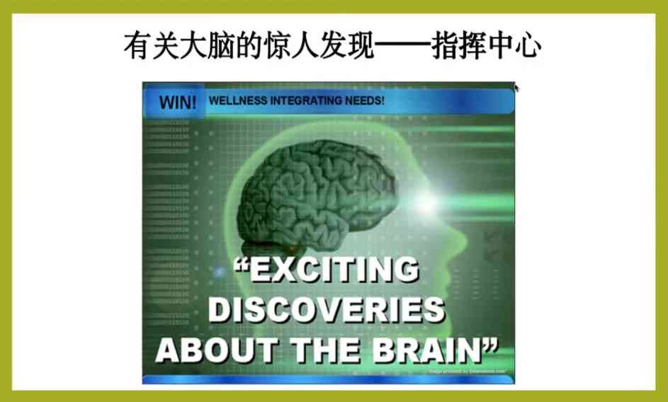 迈向新起点｜第3讲 大脑——指挥中心