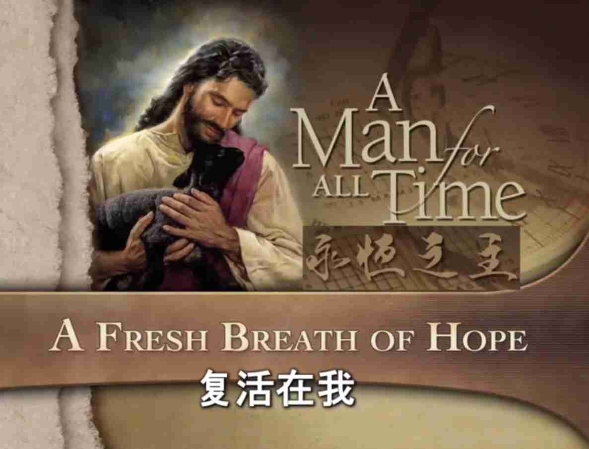 马可芬尼8天直/播回放｜第6讲 复活在我（音频为纯中文版）