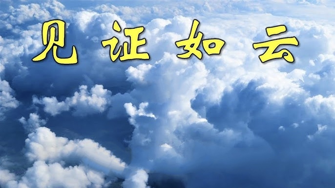 见证如云