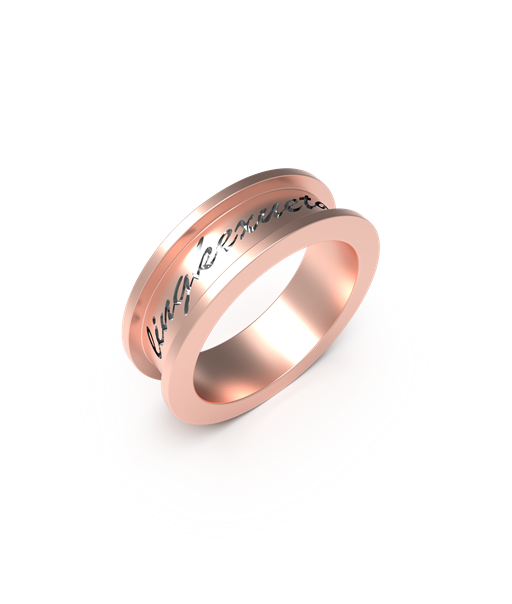 个性logo戒指Rhino犀牛模型下载