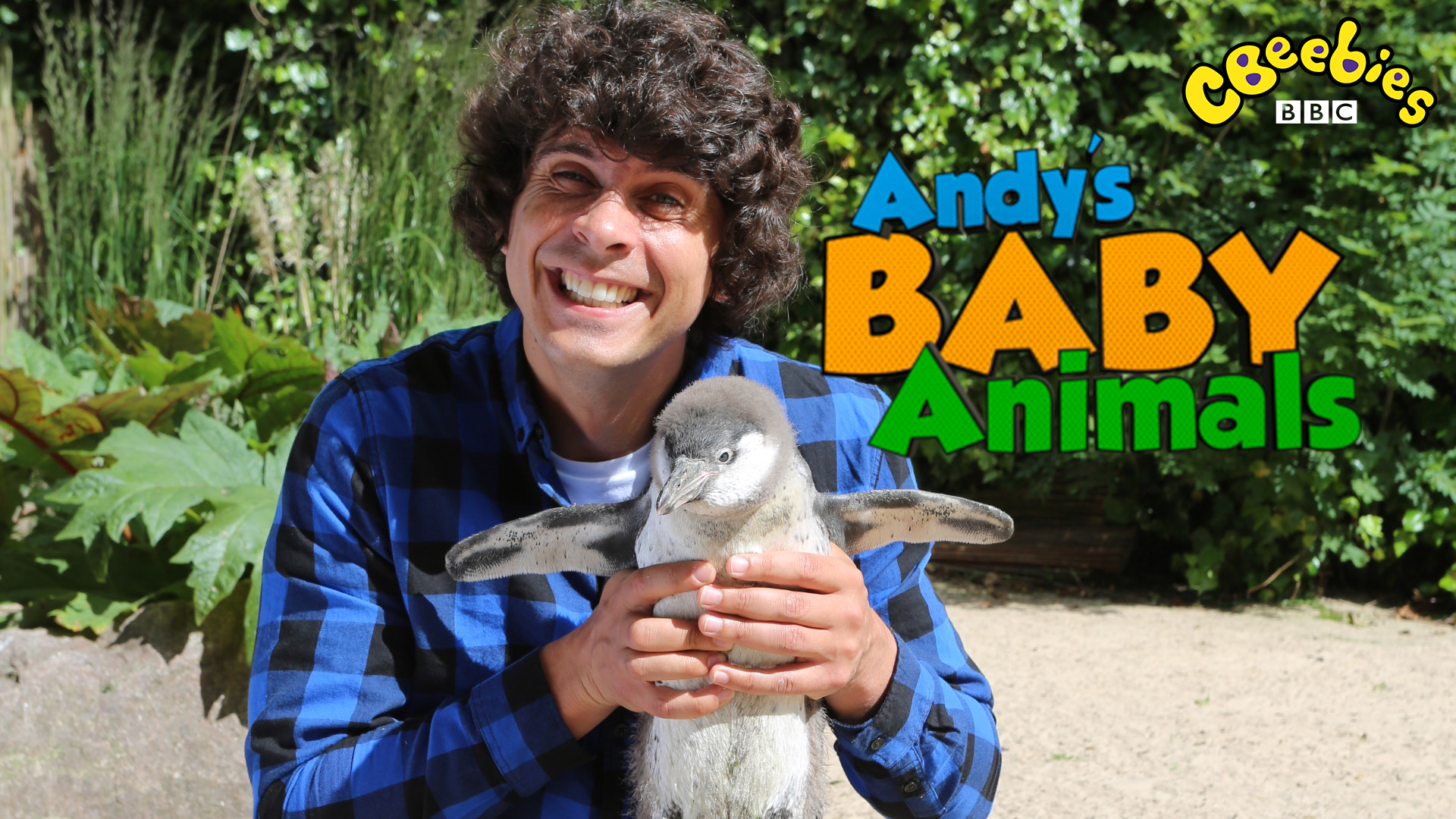 《安迪的动物宝宝》Andy’s Baby Animals英文版 [全20集]