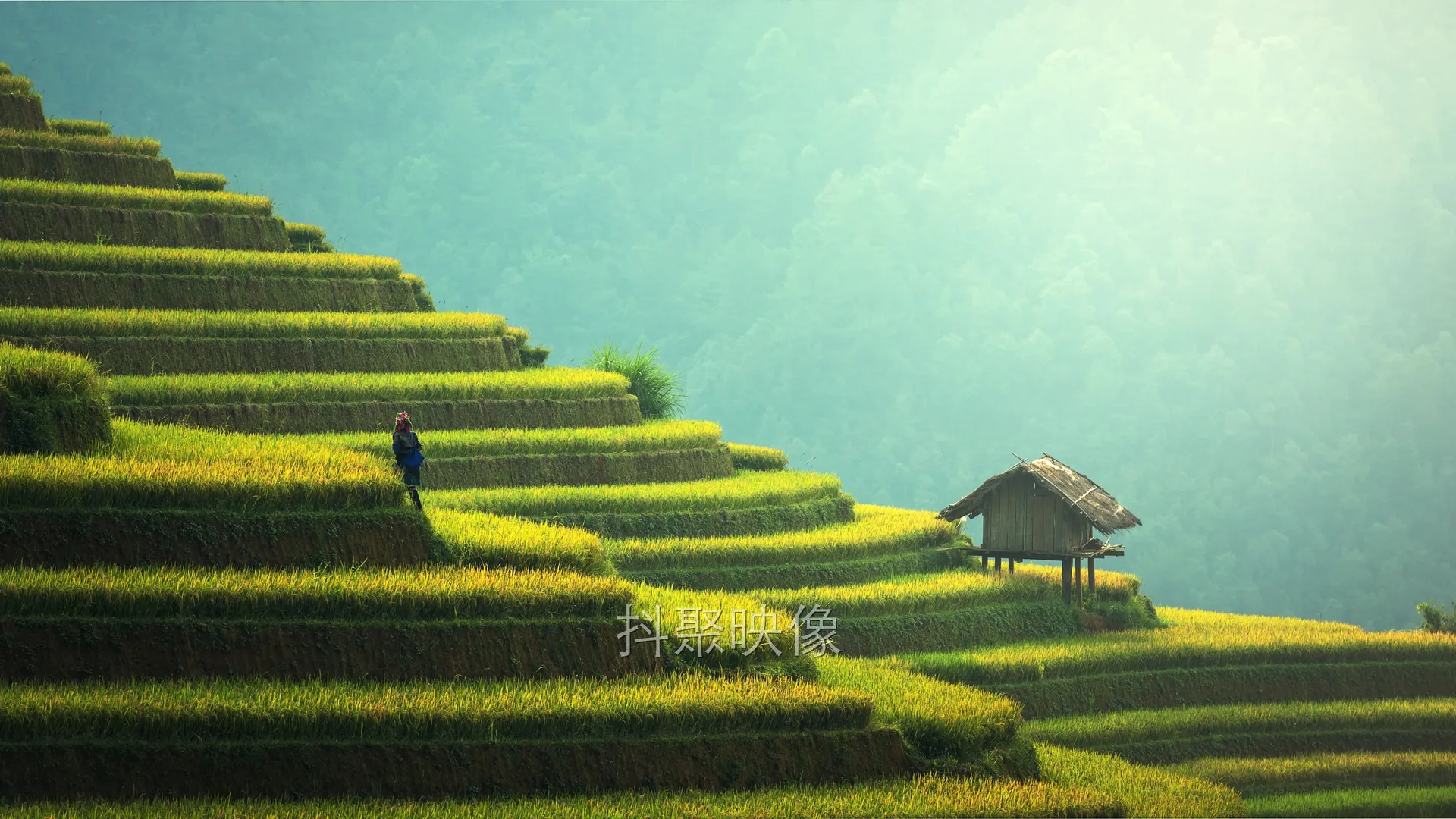 真实风景 4K-0741