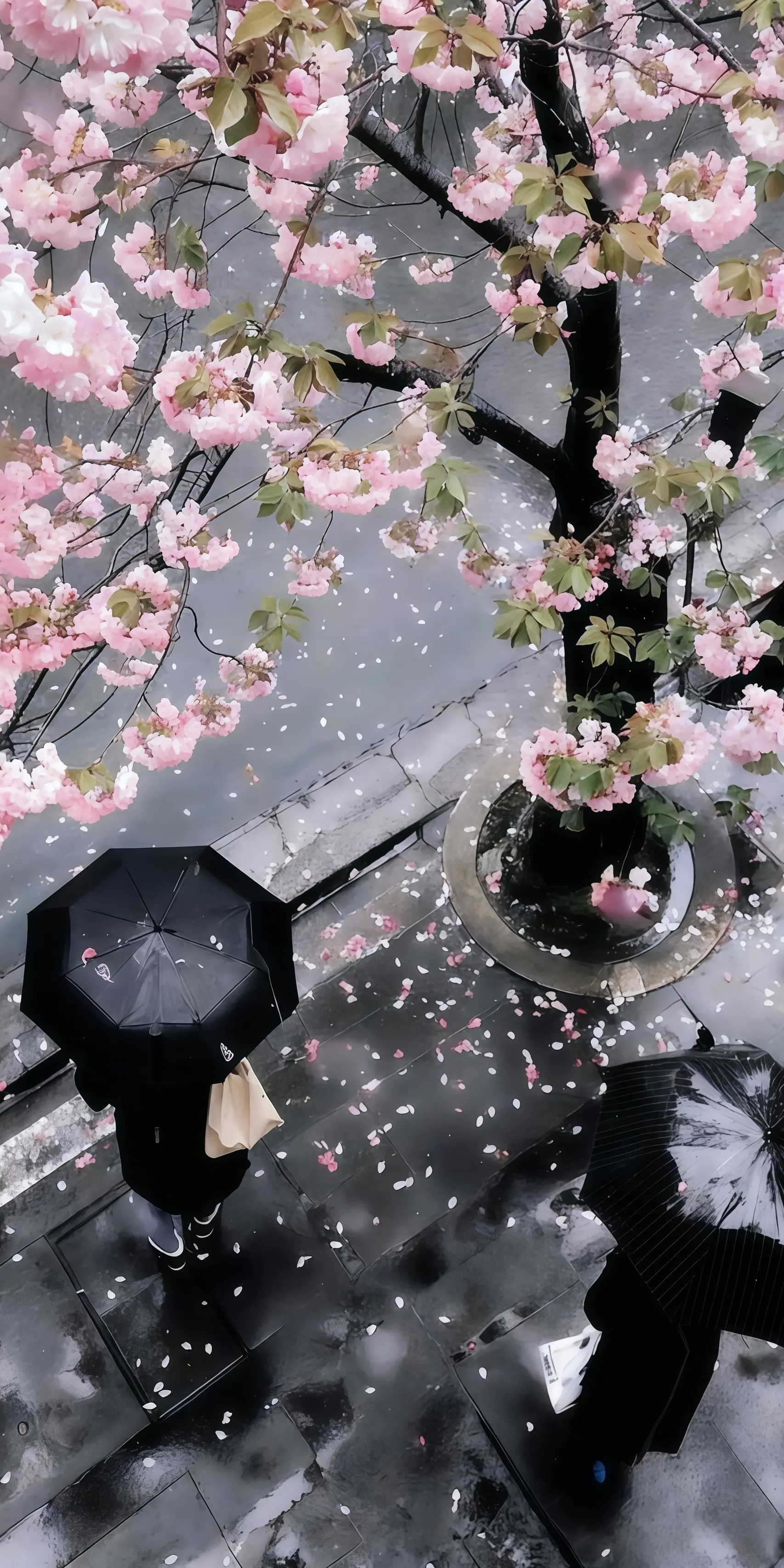 深景壁纸-0186