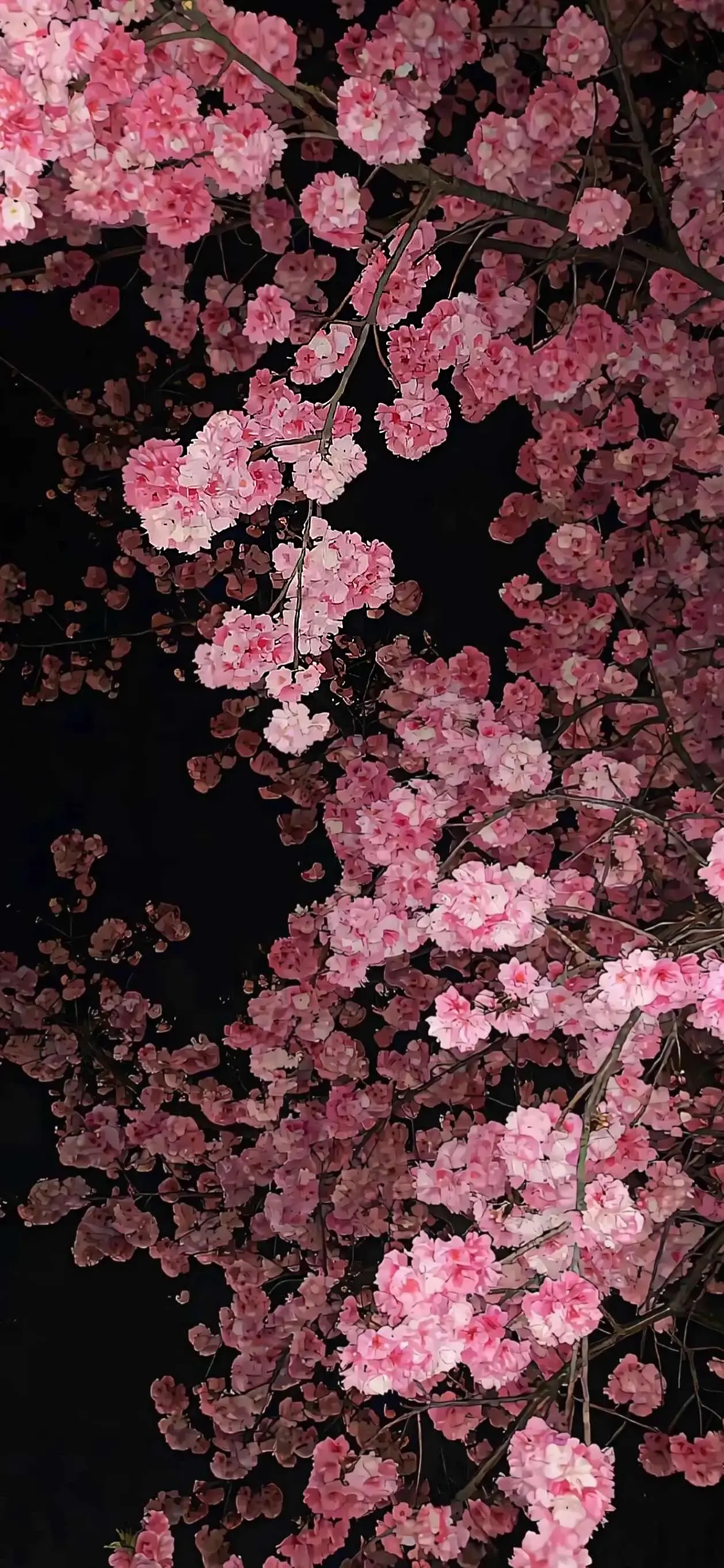 深景壁纸-0296