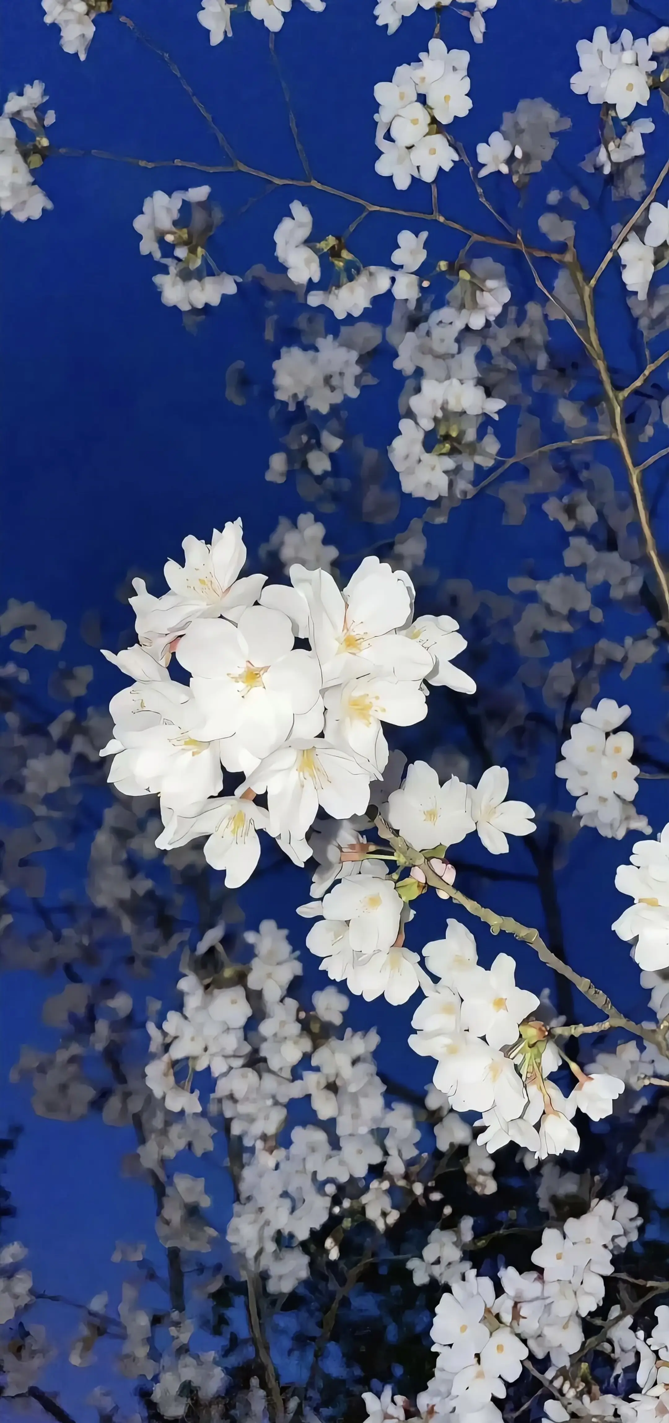 深景壁纸-0316