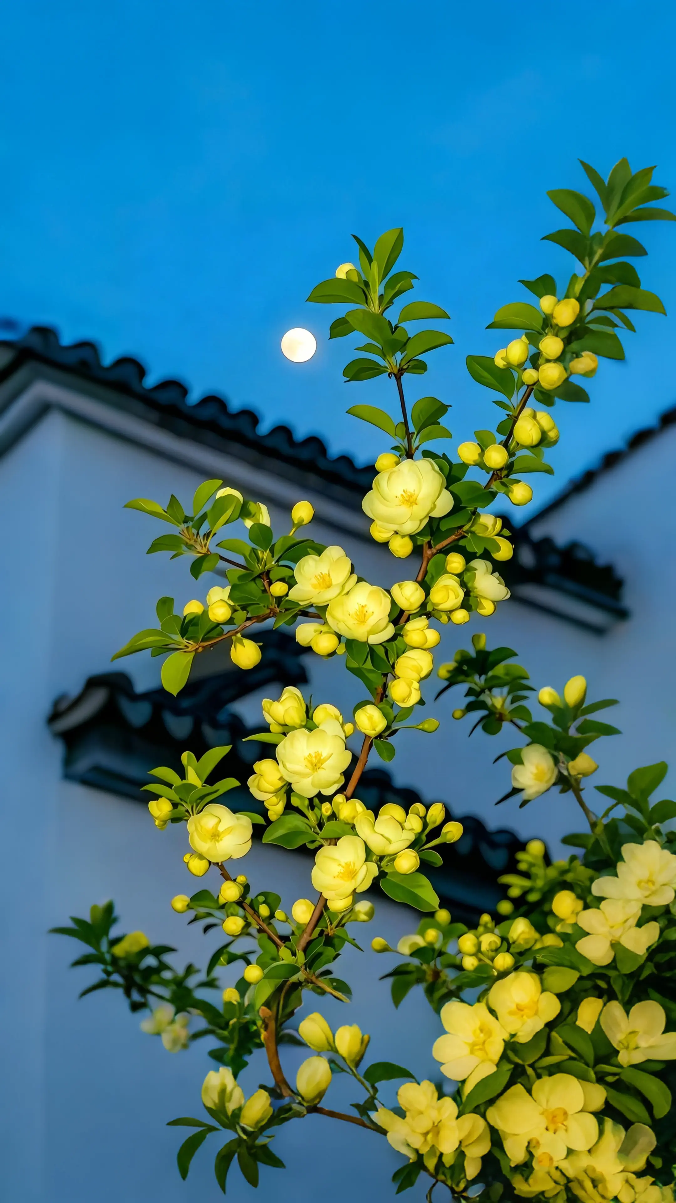 深景壁纸-0382