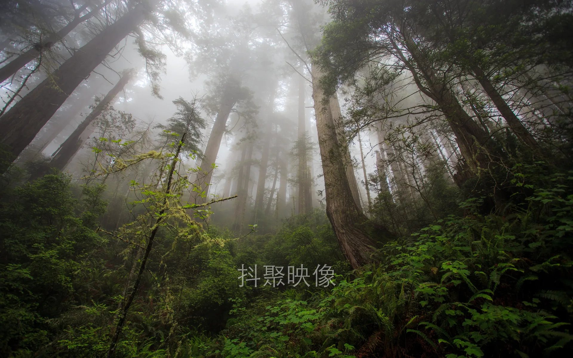 真实风景 4K-1131