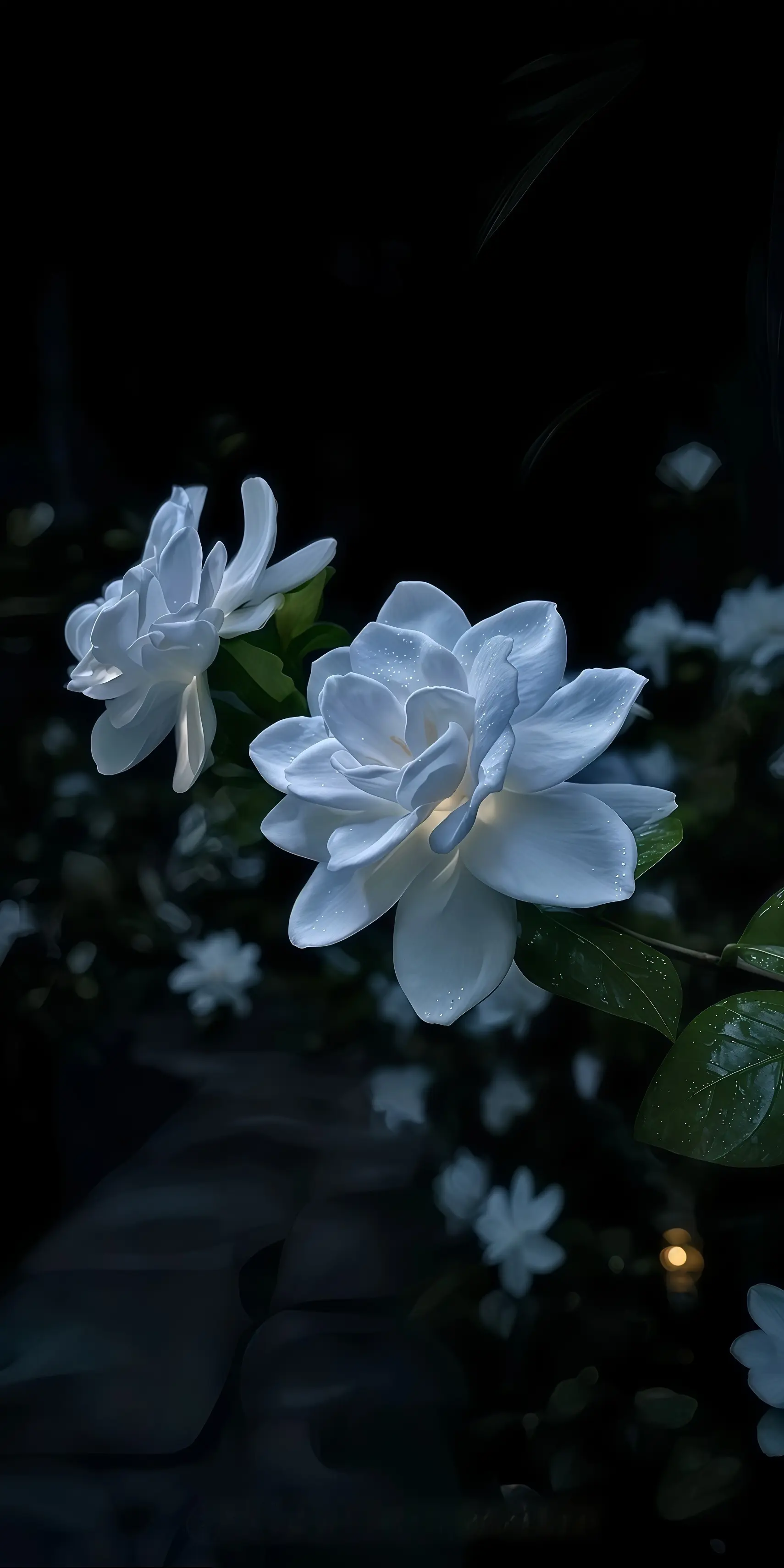 深景壁纸-0282