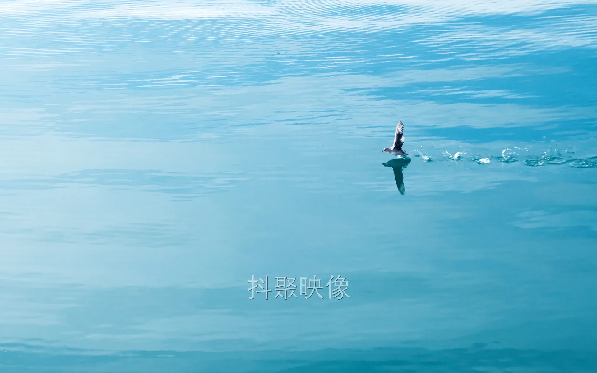 真实风景 4K-0392