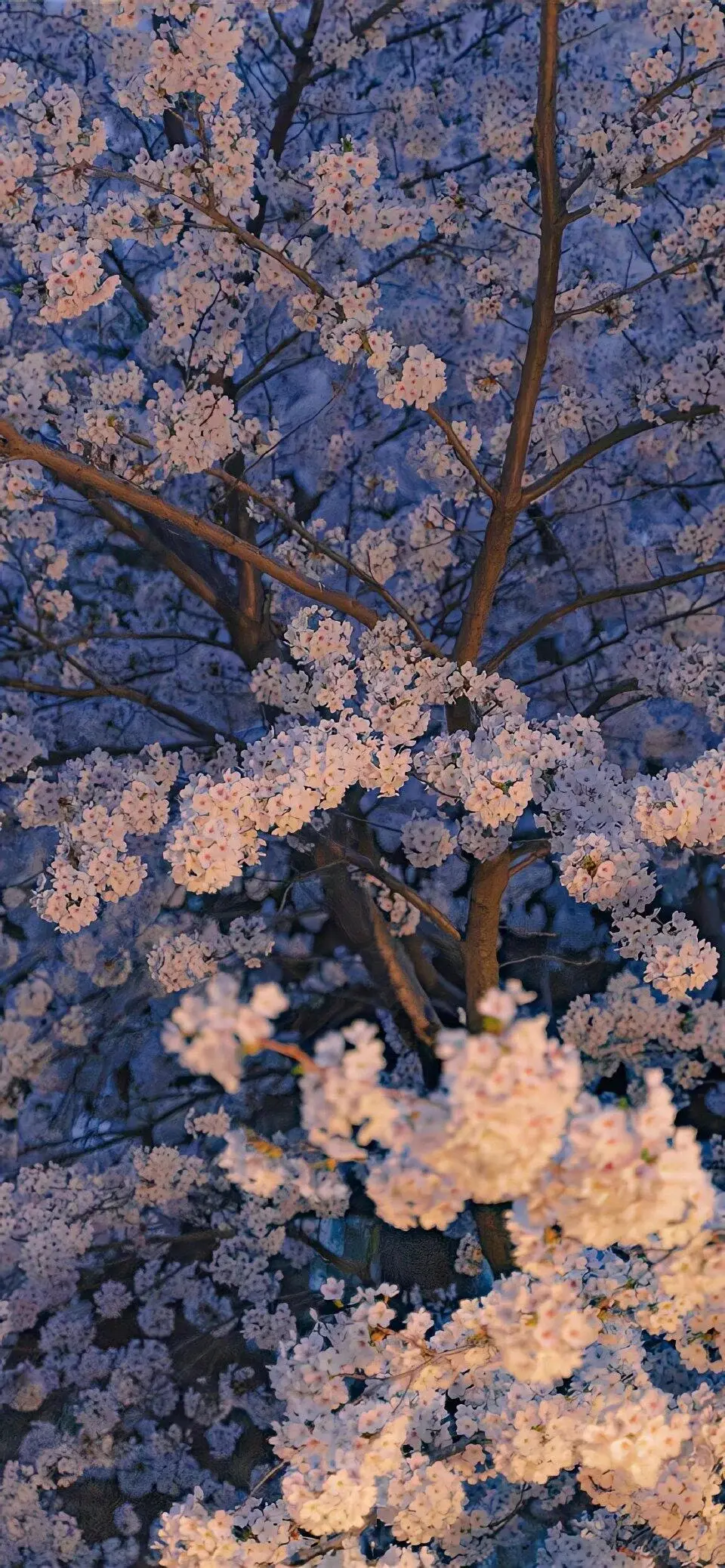深景壁纸-0231