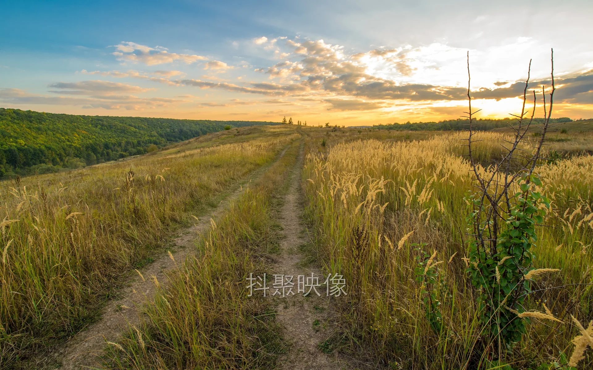 4K夜幕壁纸-0060