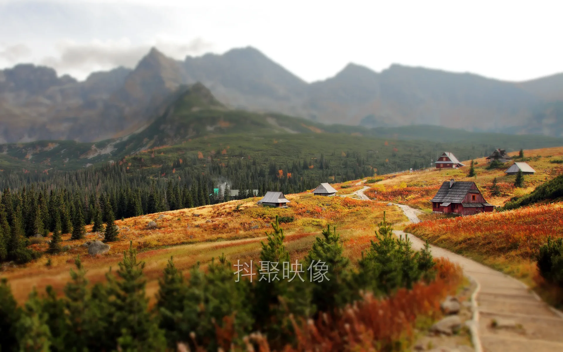 真实风景 4K-1035