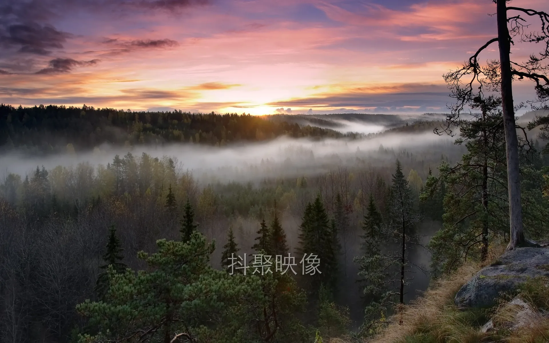 4K夜幕壁纸-0321