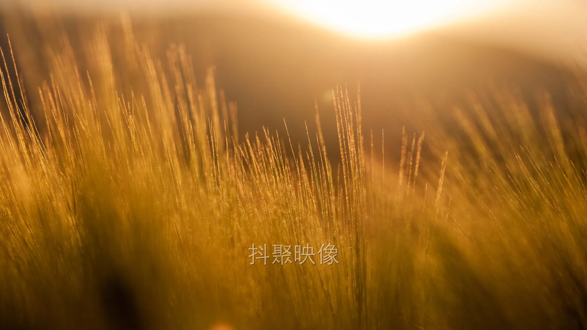 真实风景 4K-0914
