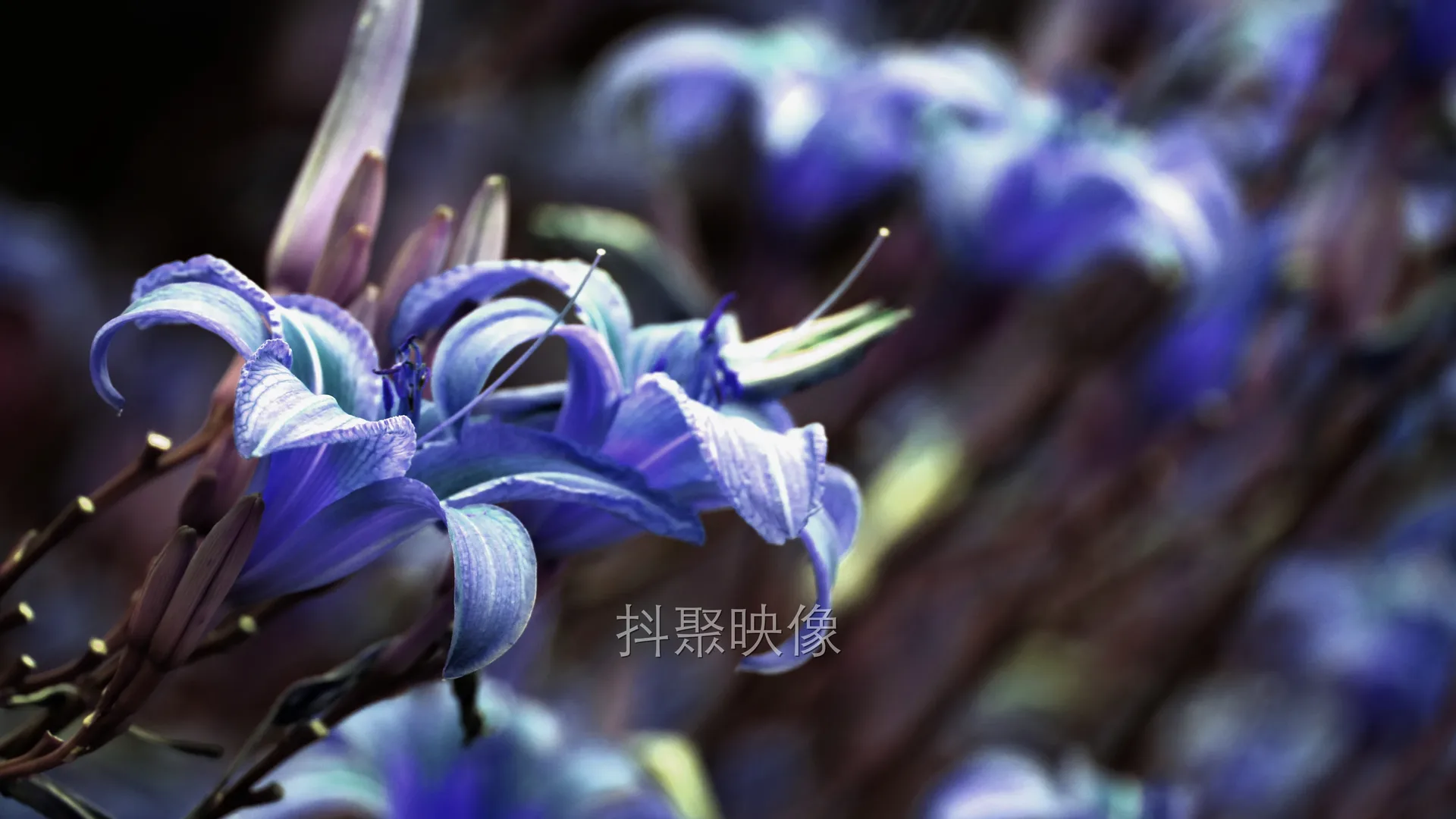 真实风景 4K-0759