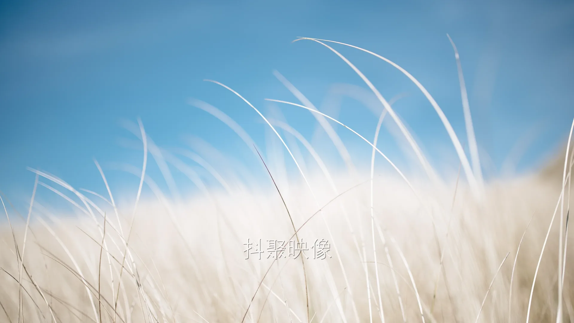 真实风景 4K-0752