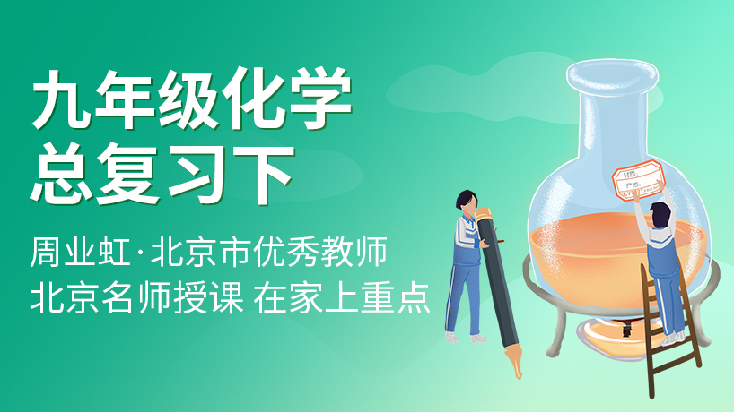人教版九年级化学总复习下