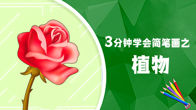 3分钟学会简笔画之植物
