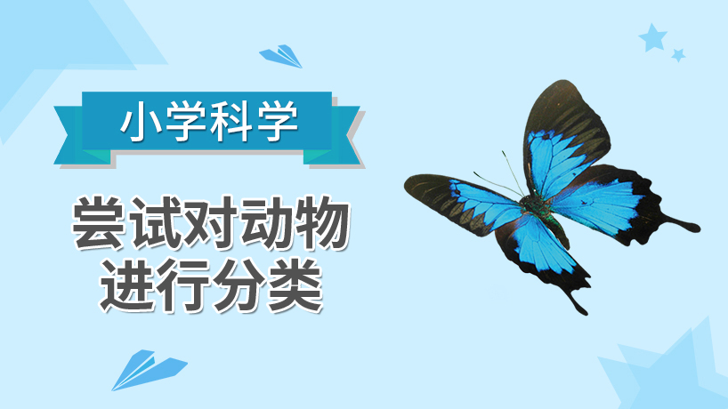 小学科学-尝试对动物进行分类