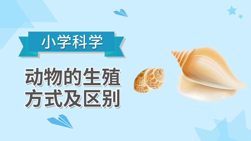 小学科学-动物的生殖方式及其区别
