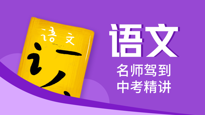 中考语文精讲【名师驾到】