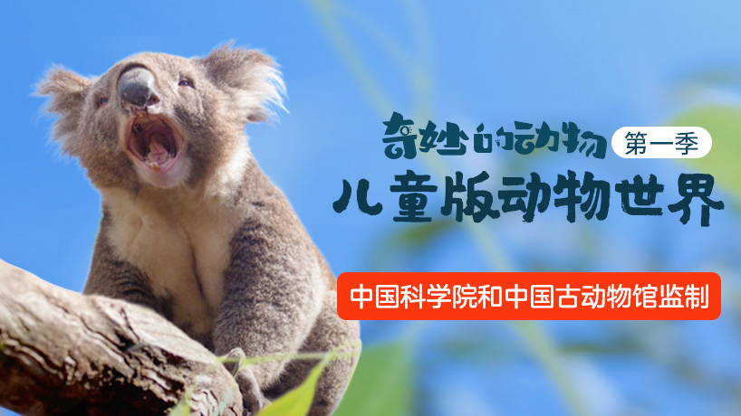 奇妙的动物儿童版动物世界 