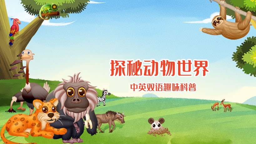 动物世界奇妙探险