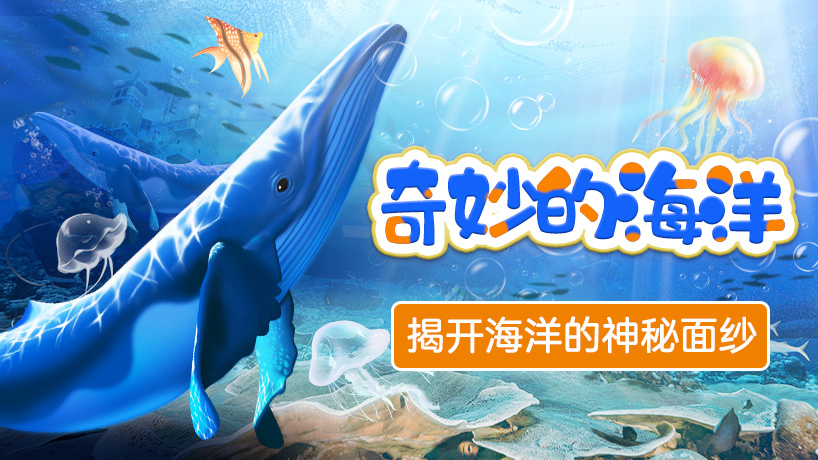 奇妙的海洋
