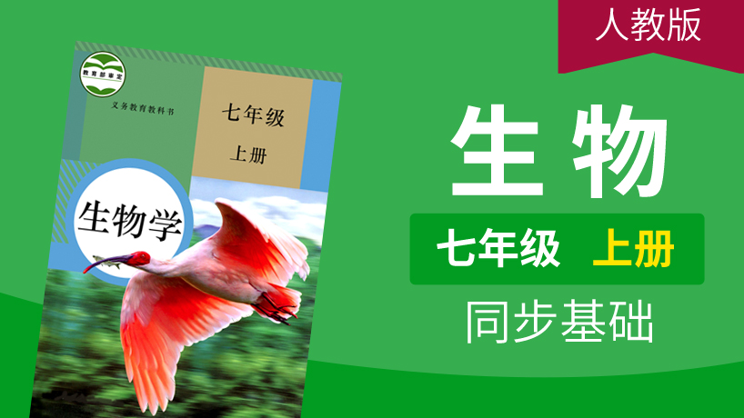 人教版生物七年级上