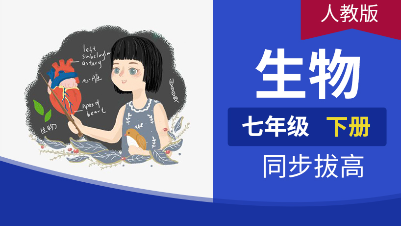 七年级生物下册(人教)