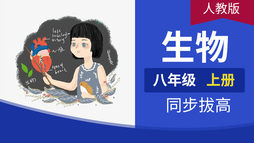 八年级生物上册(人教)