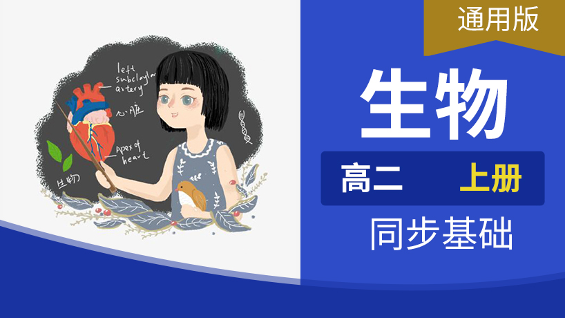 高二生物上册