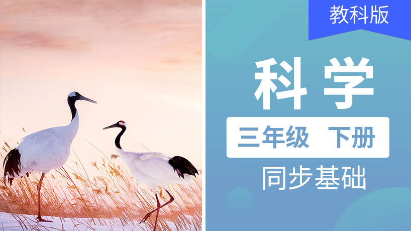 教科版科学三年级下册