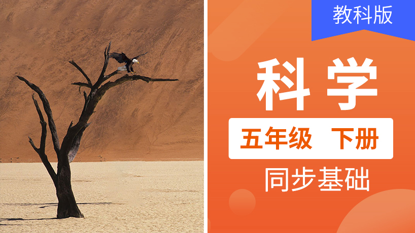 教科版科学五年级下册