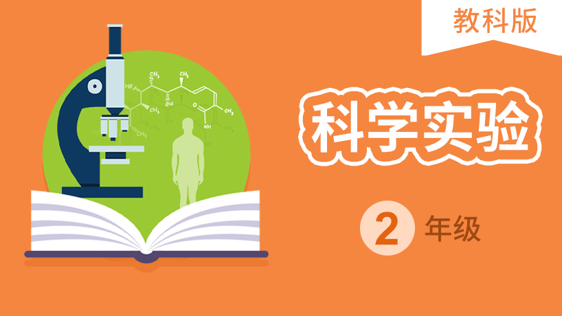 二年级科学实验 