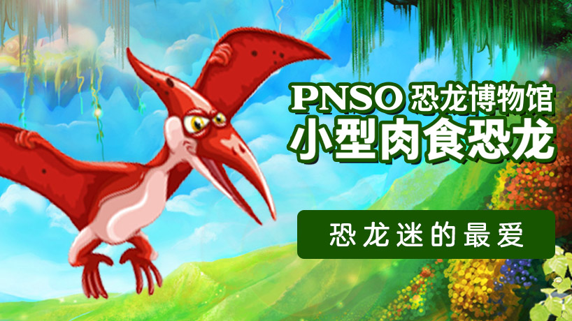 PNSO恐龙博物馆  小型肉食恐龙