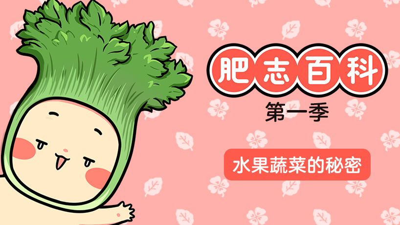 肥志百科第一季