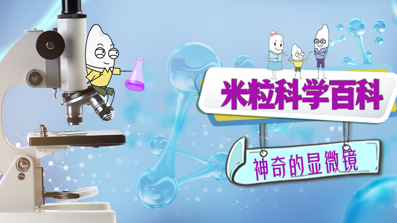 米粒科学百科