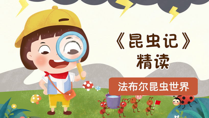 《昆虫记》精读