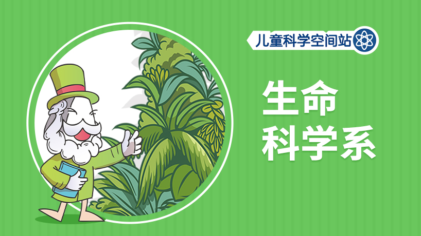 生命科学系