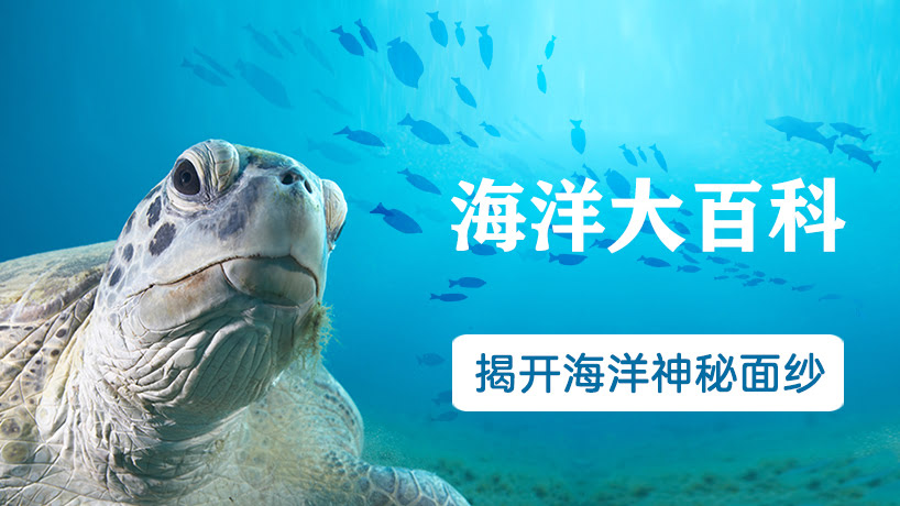 海洋大百科